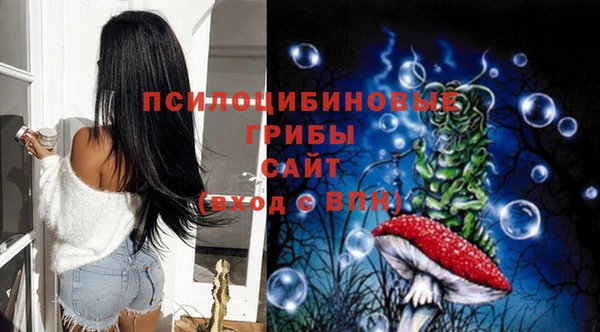 мдма Новодвинск