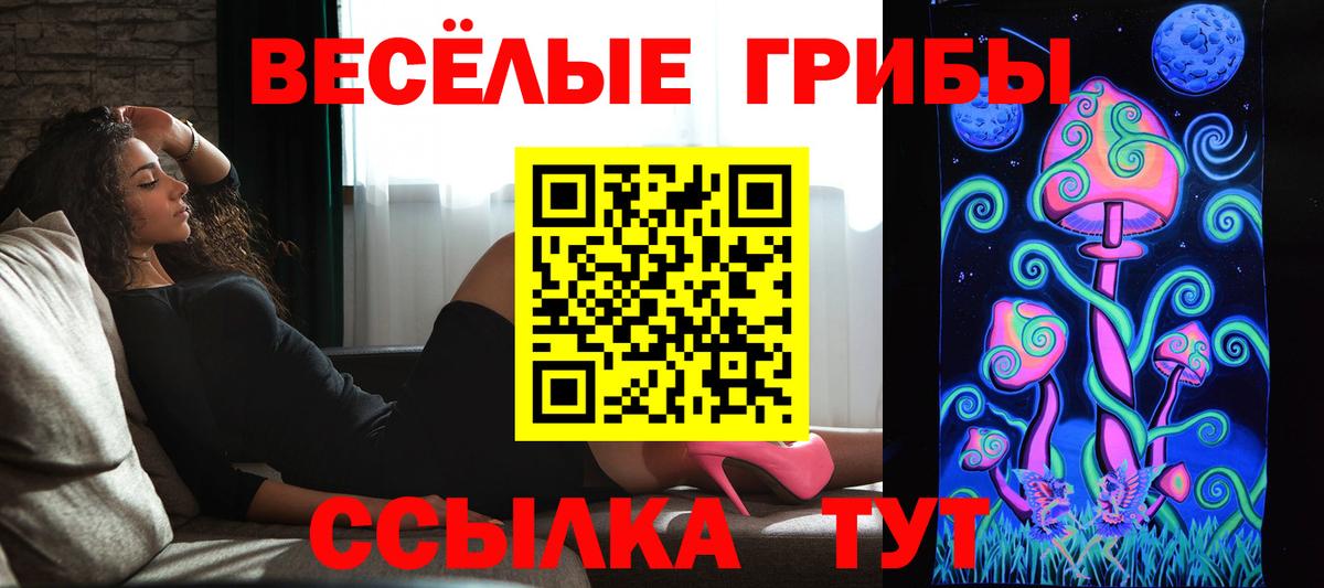 Псилоцибиновые грибы мицелий Урюпинск
