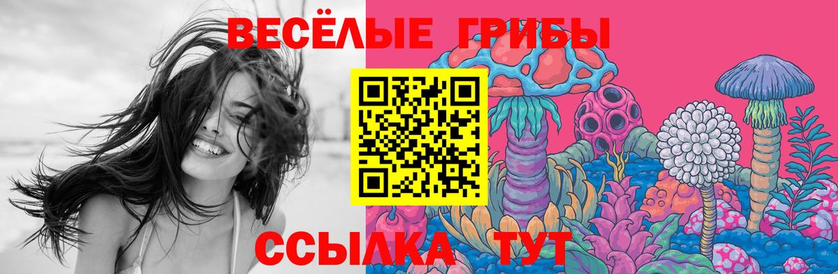 Псилоцибиновые грибы GOLDEN TEACHER  Вход с VPN  Галлюциногенные грибы мухоморы  Урюпинск 